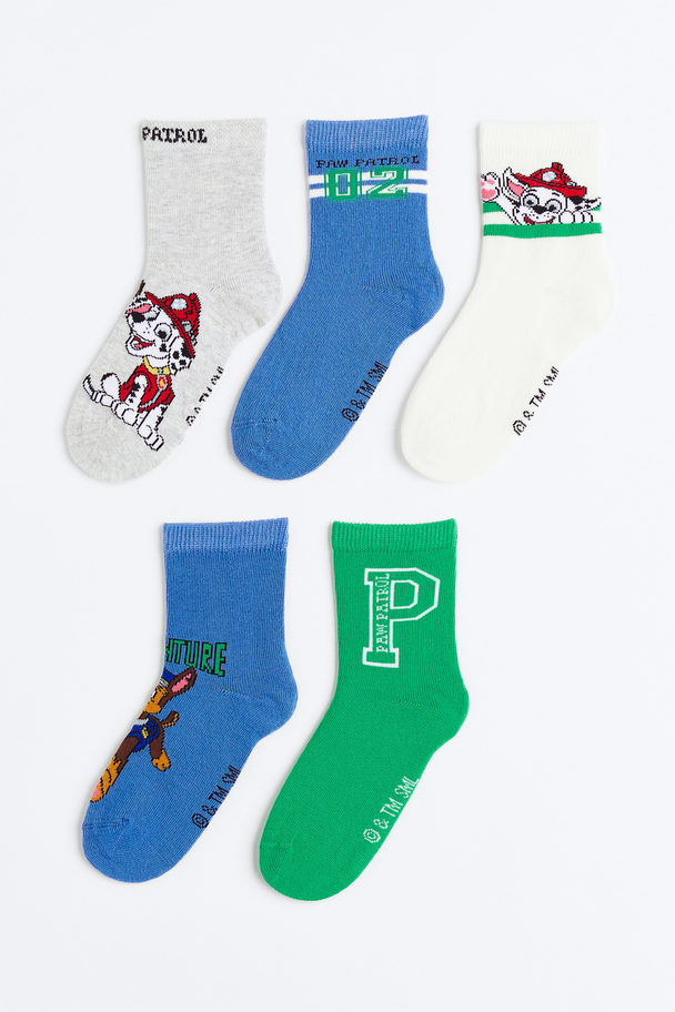 H&M 5-pack Patterned Socks Blue/paw Patrol