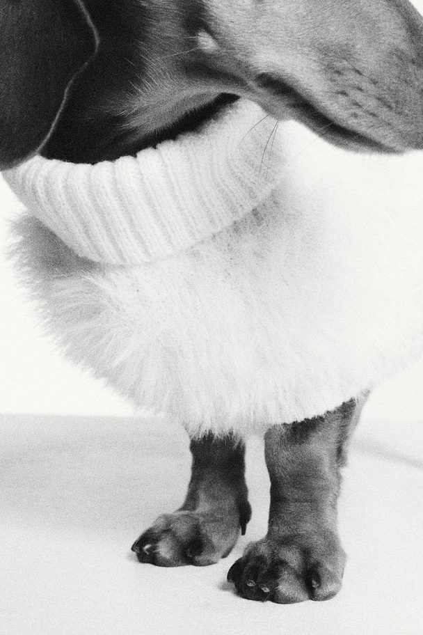 H&M Flauschiger Hundepullover Weiß