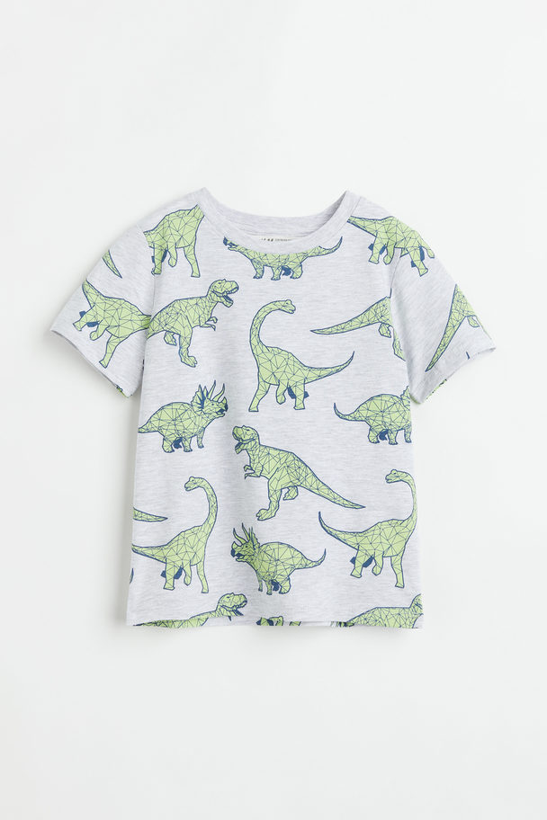 H&M T-shirt Met Print Grijs Gemêleerd/dinosaurussen