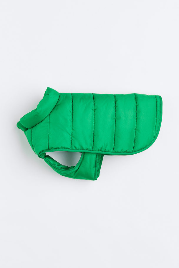 H&M Quilted Dog Jacket Green