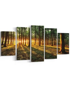 HOMEMANIA Wandmontiert Bild - Wald mit Bäumen - Natur - für Wohnzimmer, Zimmer - Mehrfarbig aus Polyester, Holz, 100 x 2 x 60 cm