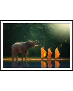 Munkar Och Elefanter