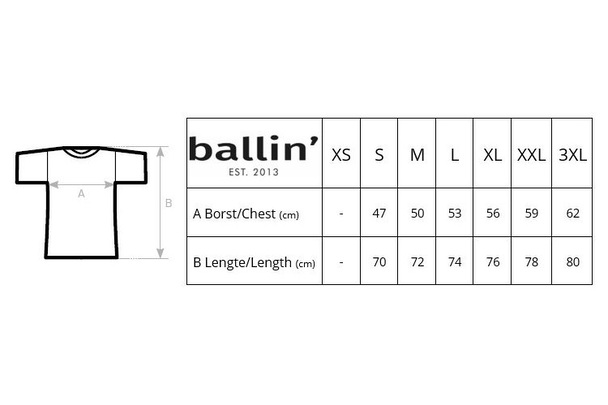 Ballin Est. 2013 Ballin Est. 2013 Small Logo Shirt Blauw
