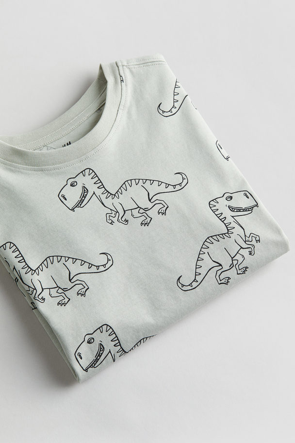 H&M Shirt Met Lange Mouwen Licht Dustygroen/dinosaurussen