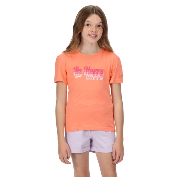 Regatta Regatta Childrens/kids Bosley V 3d T-shirt