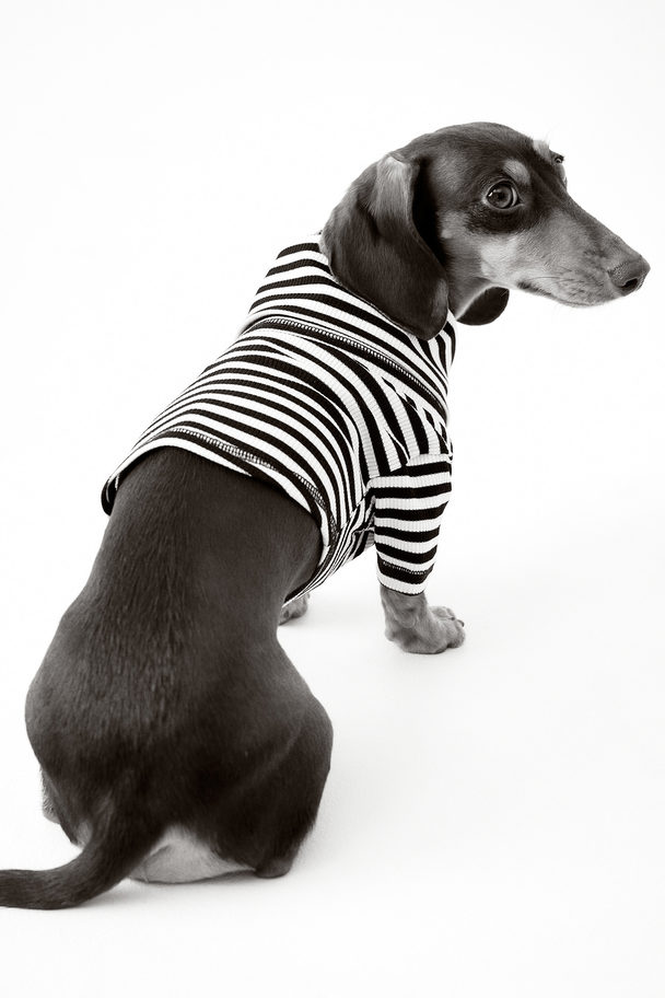 H&M Pologenser Til Hund Sort/stripet