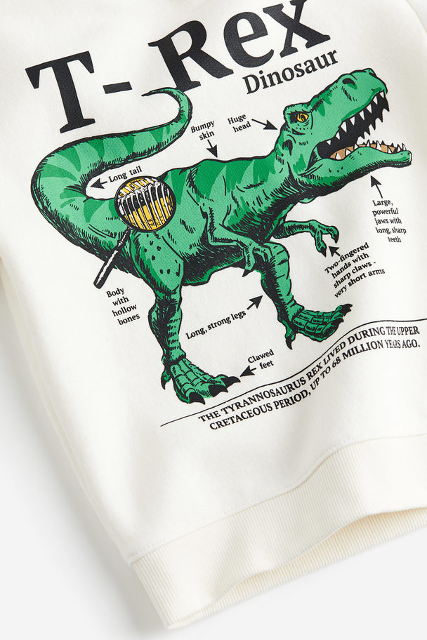 H&M Sweater Wit/tyrannosaurus Rex