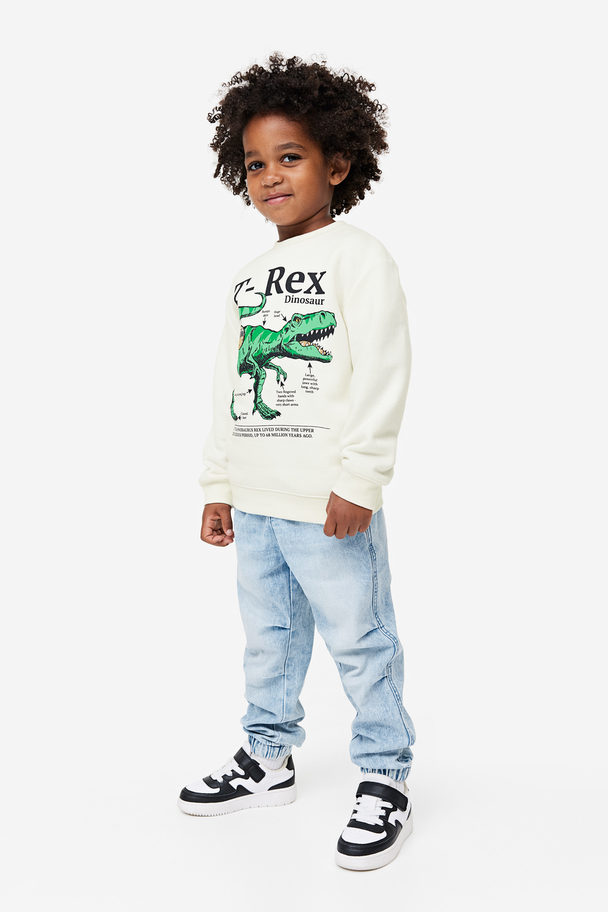 H&M Sweatshirt White/tyrannosaurus Rex