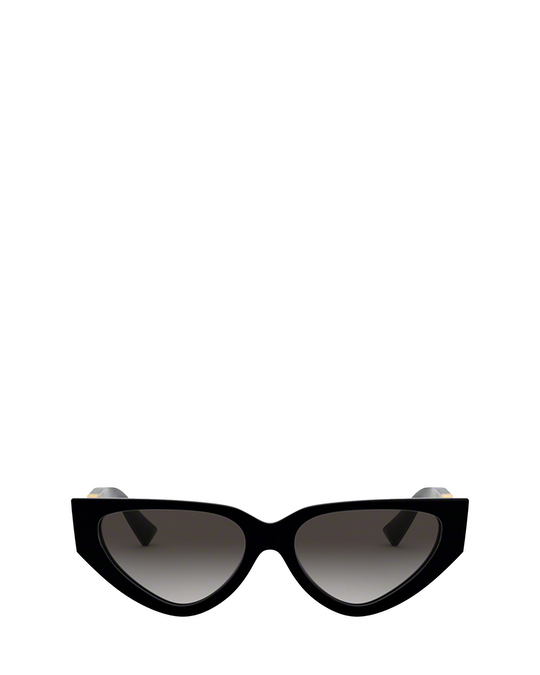 Valentino Va4063 Black Sunglasses