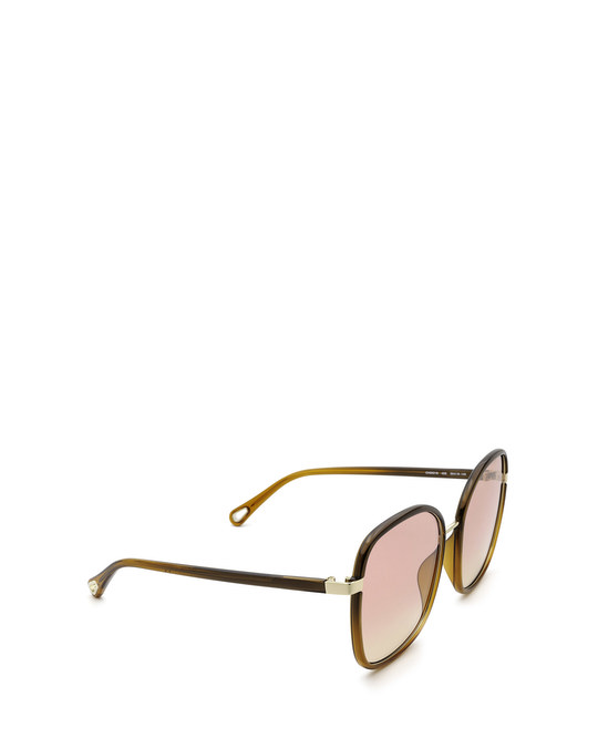 Chloé Ch0031s Brown Sunglasses