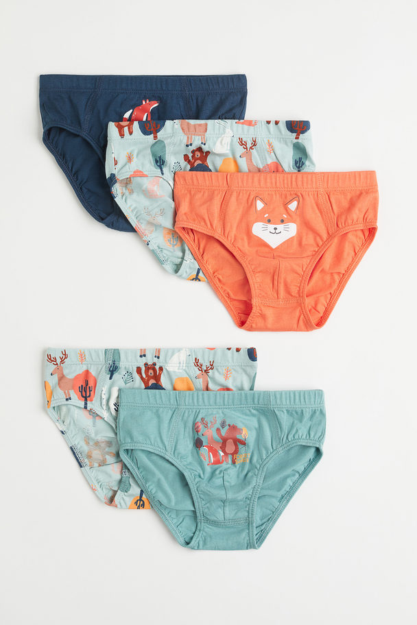 H&M 5-pack Cotton Boys’ Briefs Orange/fox