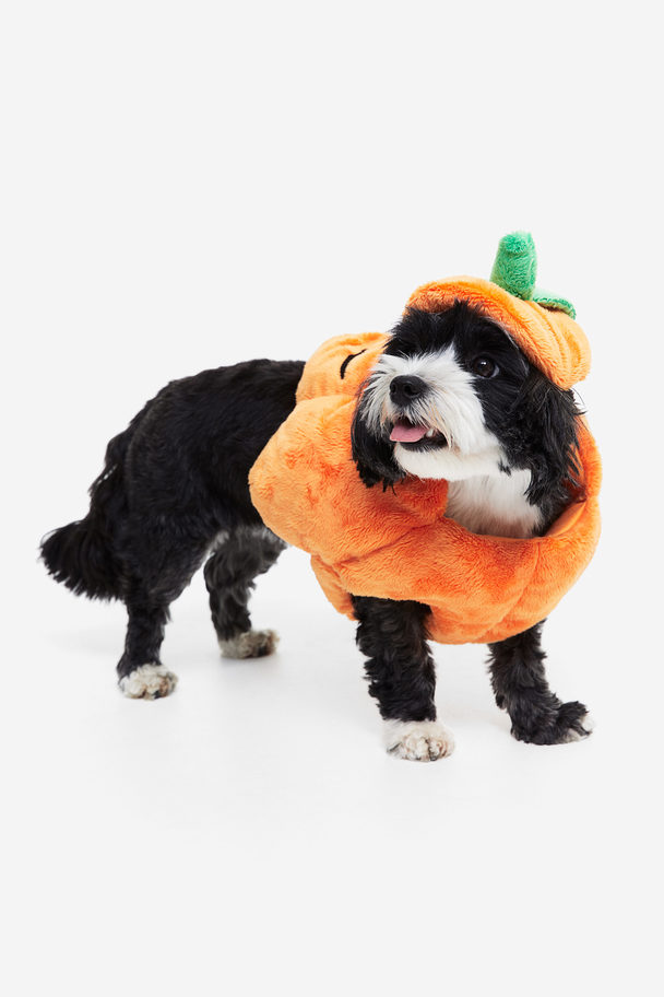 H&M Fancy Dress Costume For A Dog Orange