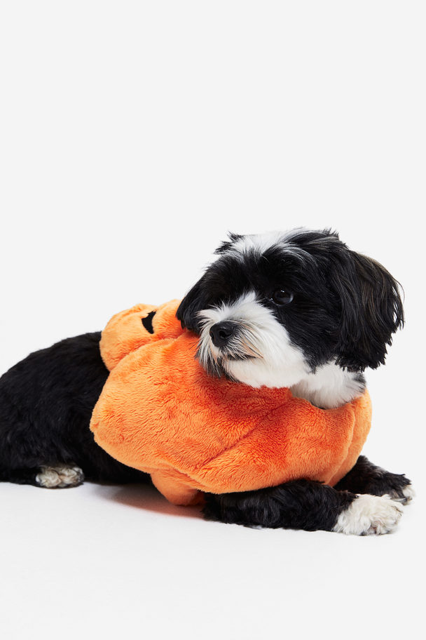 H&M Udklædningsdragt Til Hund Orange