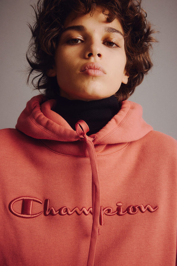 Champion Hooded Sweatshirt Mineral Red