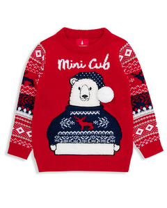 Bear Weihnachtspullover