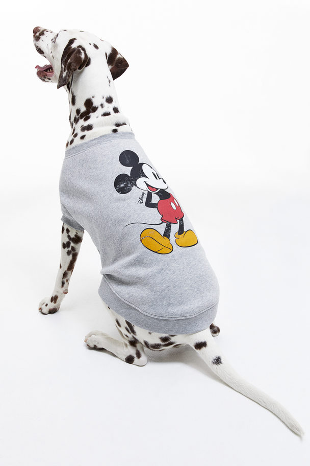 H&M Hundepullover mit Stickerei Graumeliert/Micky Maus