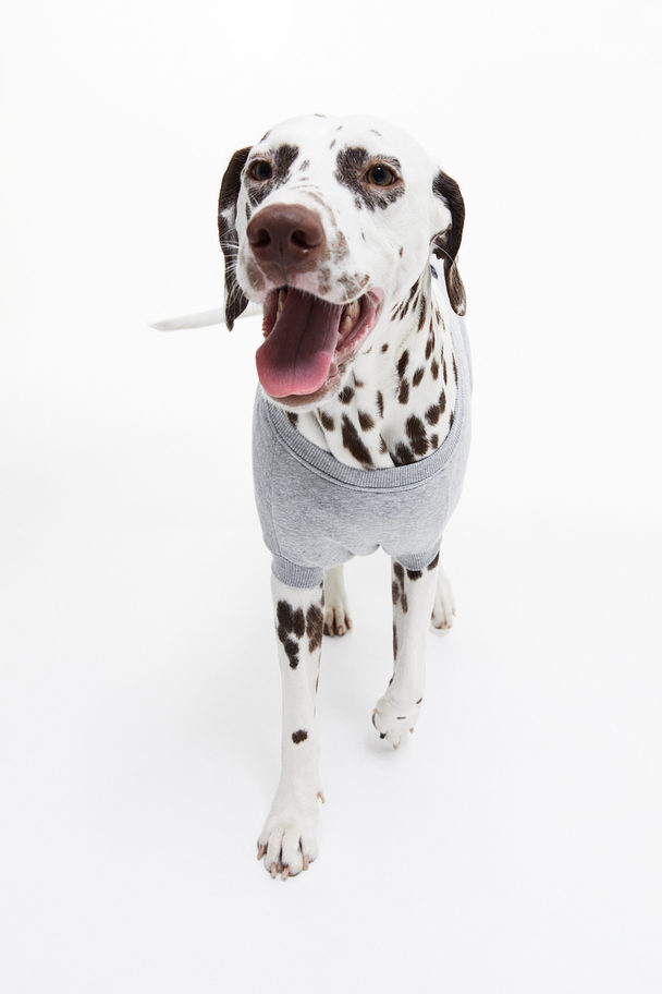 H&M Hundepullover mit Stickerei Graumeliert/Micky Maus