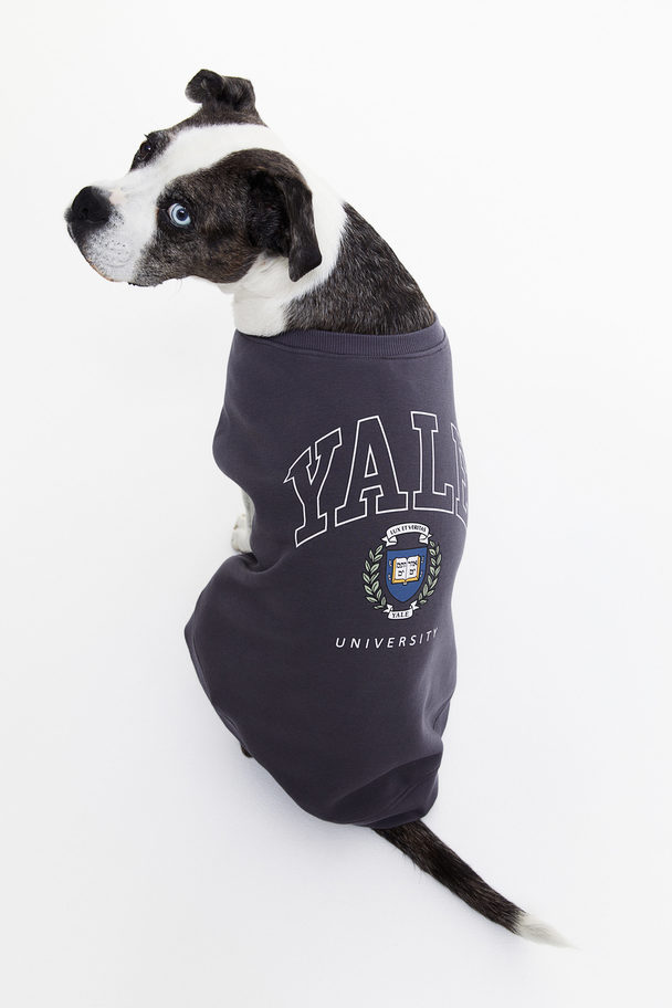 H&M Hundepullover mit Stickerei Dunkelgrau/Yale