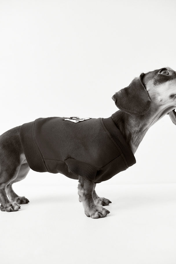 H&M Hunde-Sweatshirt mit Motiv Dunkelblau/Micky Maus