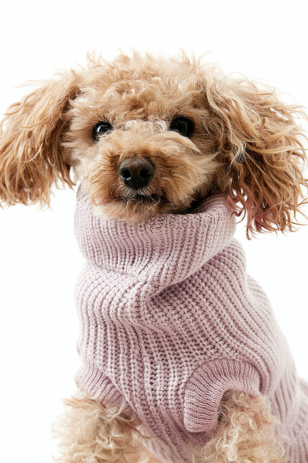 H&M Frill-trimmed Dog Jumper Dusty Pink