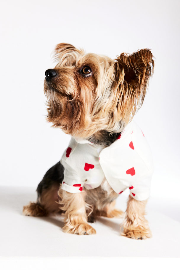 H&M Hundeskjorte Hvid/hjerter