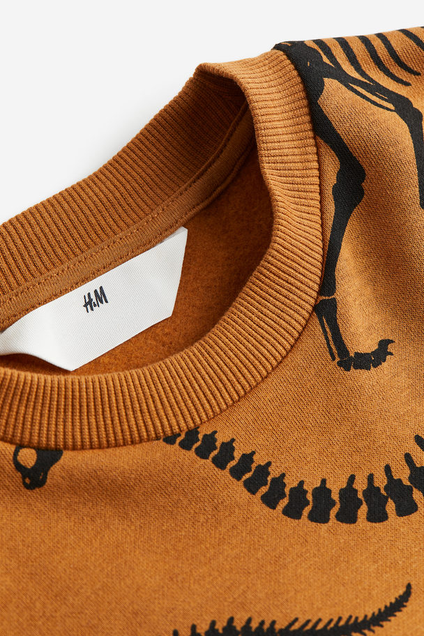 H&M Sweatshirt Brown/dinosaurs