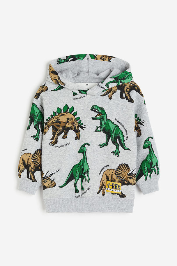 H&M Printed Hoodie Light Grey/dinosaurs