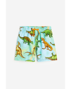 Patterned Swim Shorts Turquoise/dinosaurs