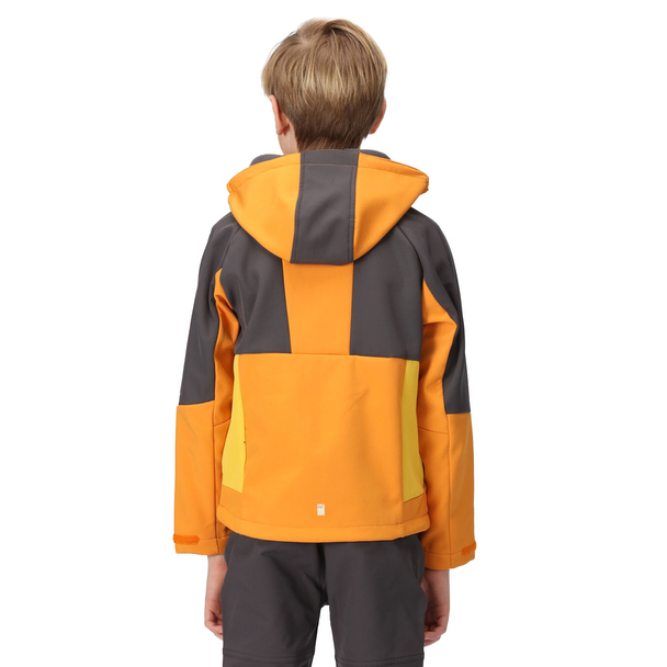 Regatta Regatta Childrens/kids Haydenbury Soft Shell Jacket