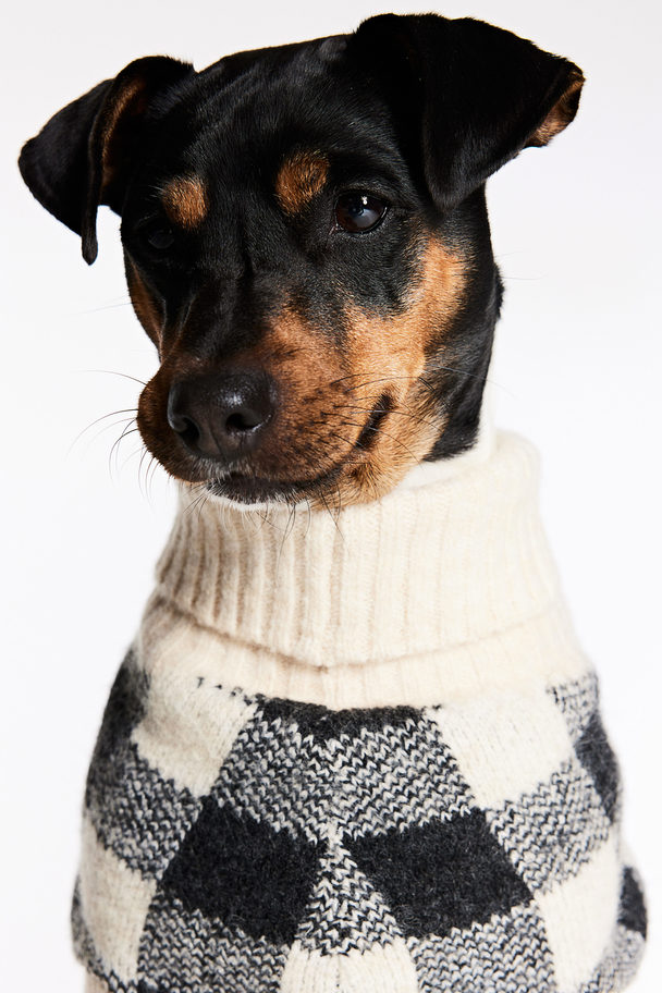 H&M Jacquard-knit Dog Jumper Beige/checked