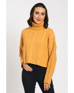 Fancy Knit Turtleneck Sweater