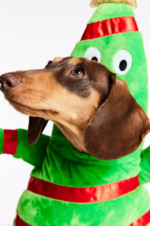H&M Weihnachtsbaum-Hundekostüm Grün