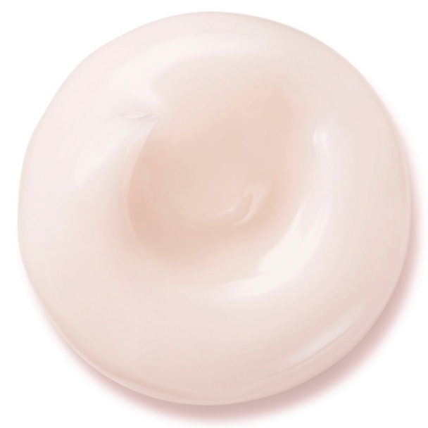 SHISEIDO Shiseido White Lucent Brightening Gel Cream 50ml