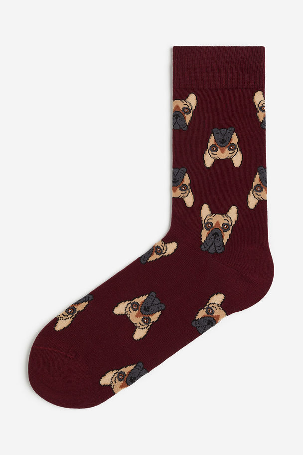H&M Patterned Socks Dark Red/dogs