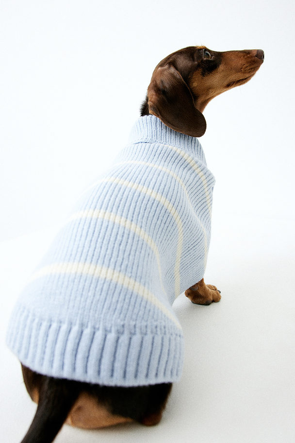 H&M Hundepullover aus Rippstrick Hellblau/Gestreift