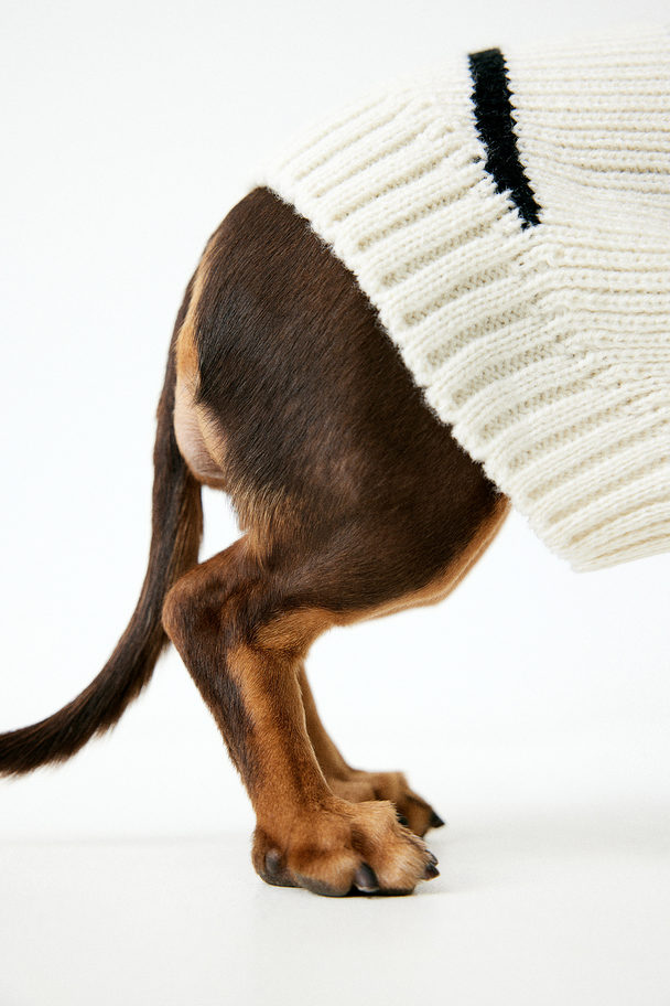 H&M Hundepullover aus Rippstrick Weiß/Gestreift