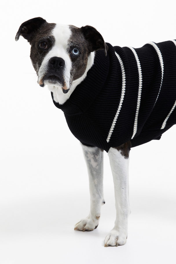 H&M Rib-knit Dog Jumper Black/striped