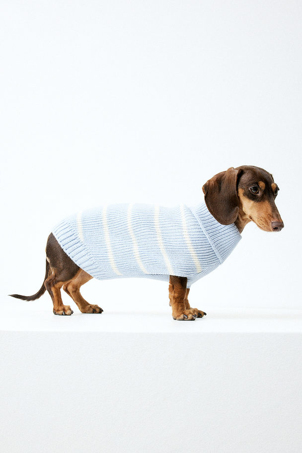 H&M Hundepullover aus Rippstrick Hellblau/Gestreift