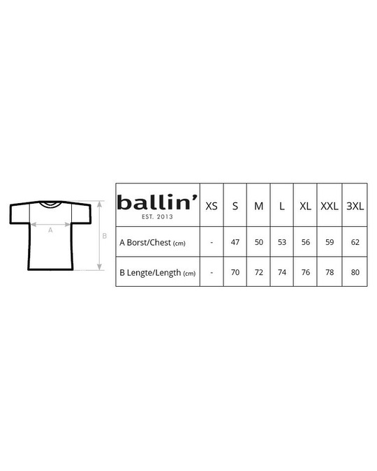 Ballin Est. 2013 Ballin Est. 2013 Tapered Fit Shirt Antraciet