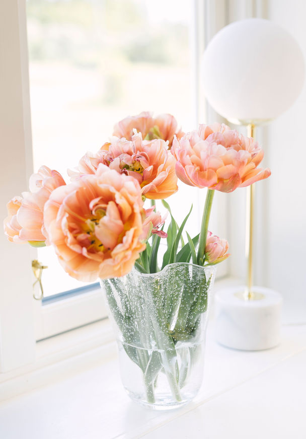 Dorre Tulip Vase Clear Pleated Edge Height 20 Cm