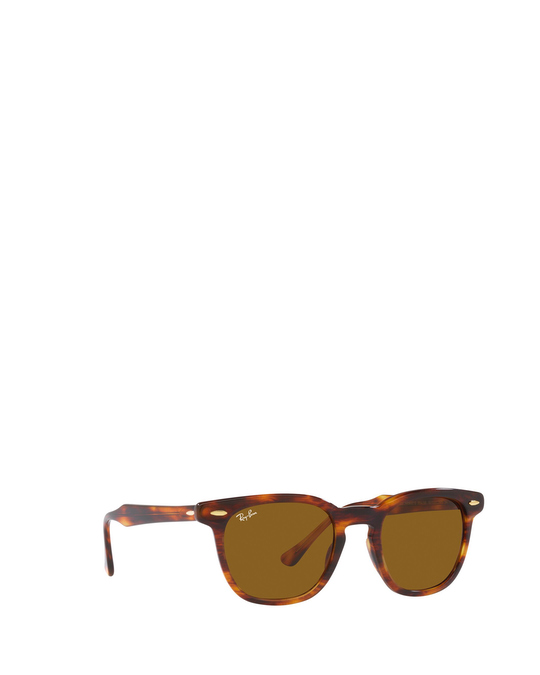Ray-Ban Rb2298 Striped Havana Sunglasses