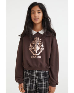 Boxy Printed Sweatshirt Dark Brown/harry Potter