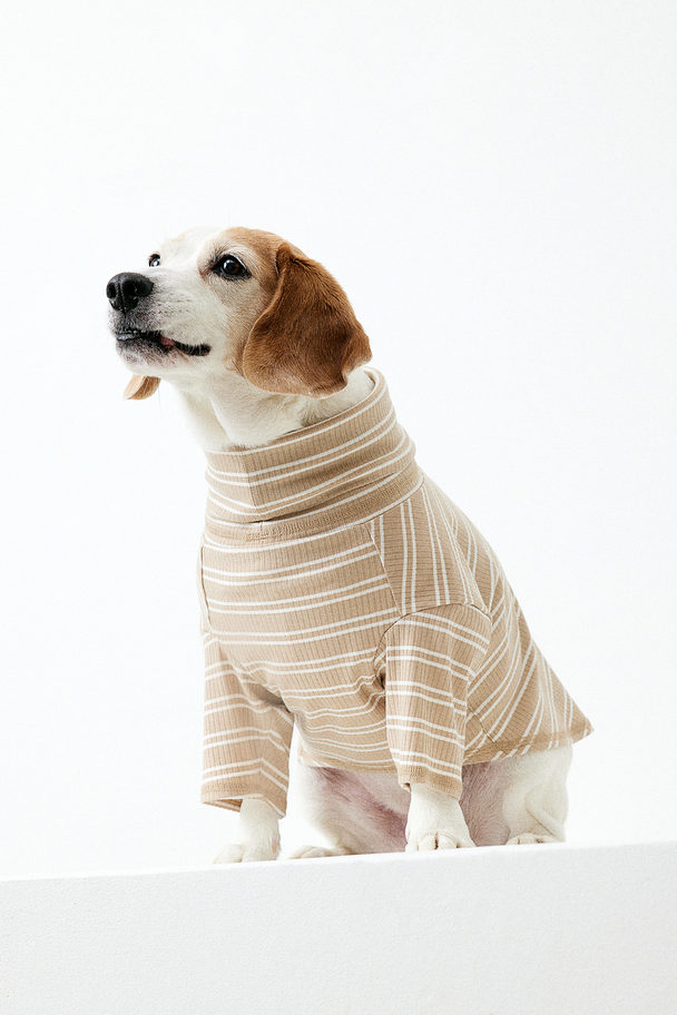 H&M Polo-neck Dog Jumper Beige/striped