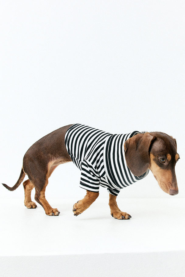 H&M Polo-neck Dog Jumper Black/striped