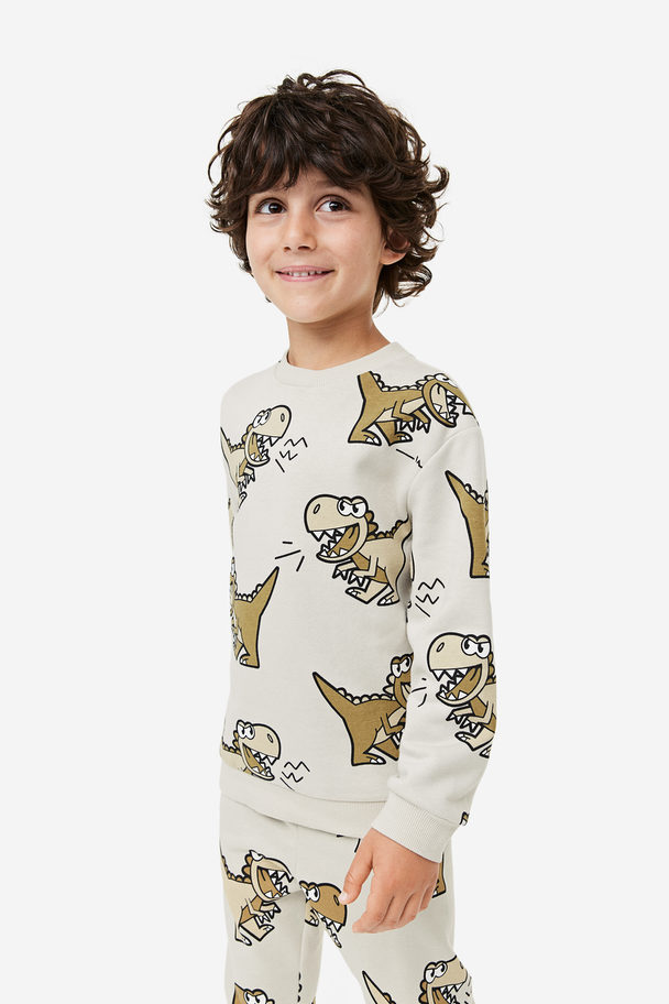 H&M Sweater Lichttaupe/dinosaurussen