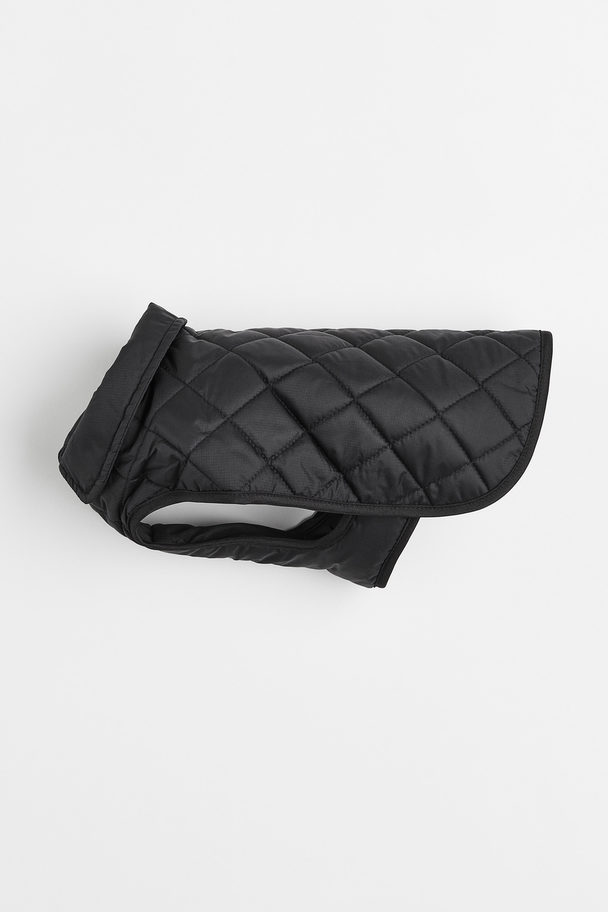 H&M Quilted Dog Jacket Black