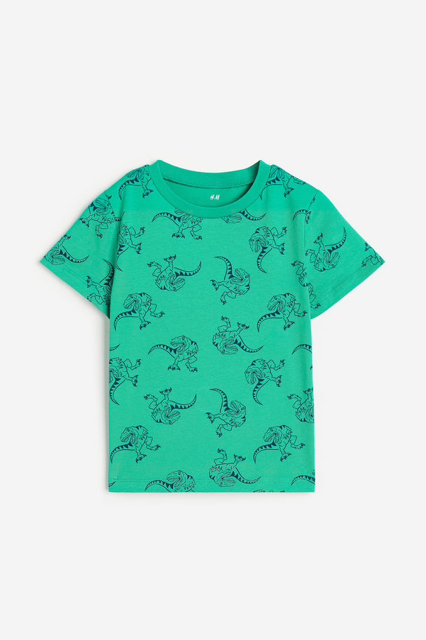 H&M Katoenen T-shirt Groen/dinosaurussen