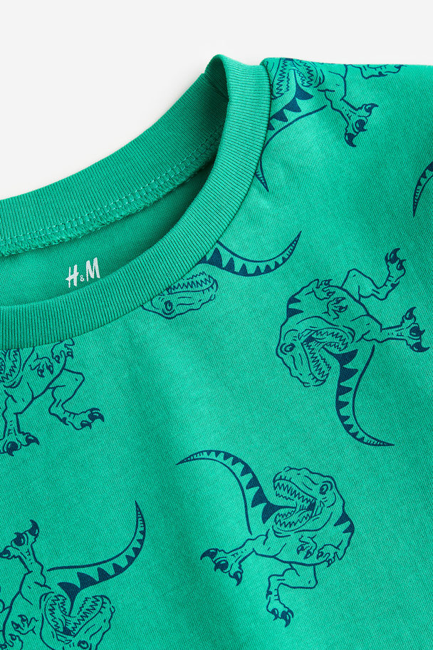 H&M Katoenen T-shirt Groen/dinosaurussen