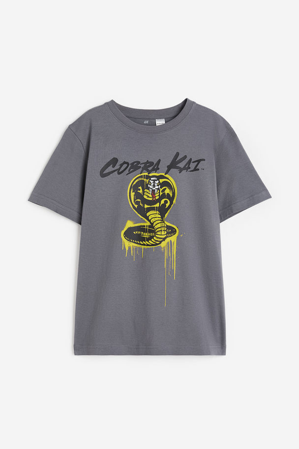 H&M T-shirt Met Print Grijs/cobra Kai