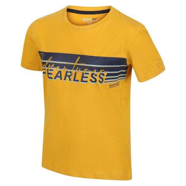 Regatta Regatta Childrens/kids Bosley V Stripe T-shirt